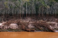 RADIO KULTUR KAFFEE #1