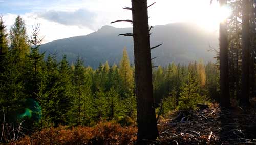 Alleingeburt Alleingeburt